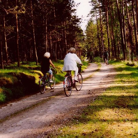 Kleine Auszeit - Natur Und Erholung In Mecklenburg Reimershagen Buitenkant foto