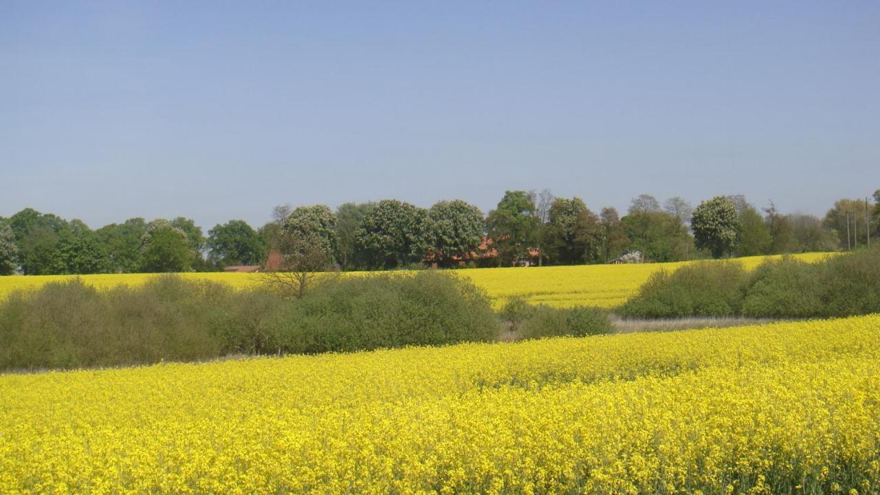 Kleine Auszeit - Natur Und Erholung In Mecklenburg Reimershagen Buitenkant foto